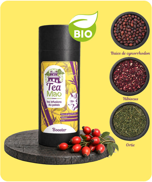 Infusion BIO Booster – cynorrhodon, hibiscus et ortie en vrac, mélange de plantes pour la vitalité quotidienne, TEA MAO