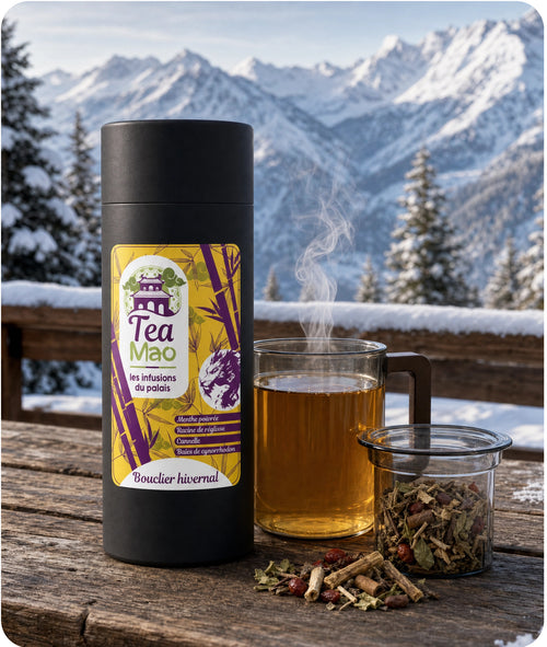 Infusion BIO Bouclier Hivernal – mélange de plantes immunité en vrac, TEA MAO