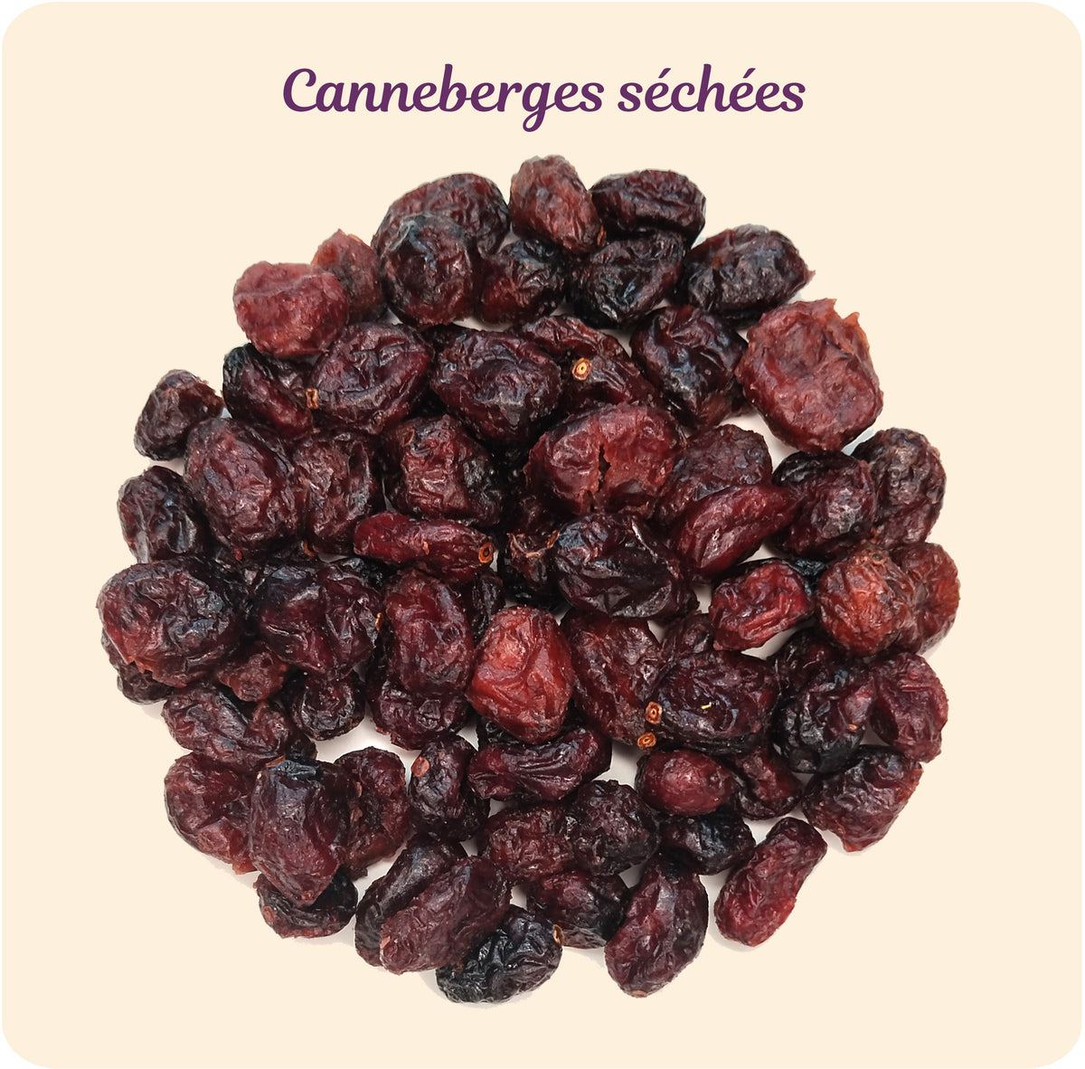 Canneberges sechees BIO – ingrédient des infusions TEA MAO