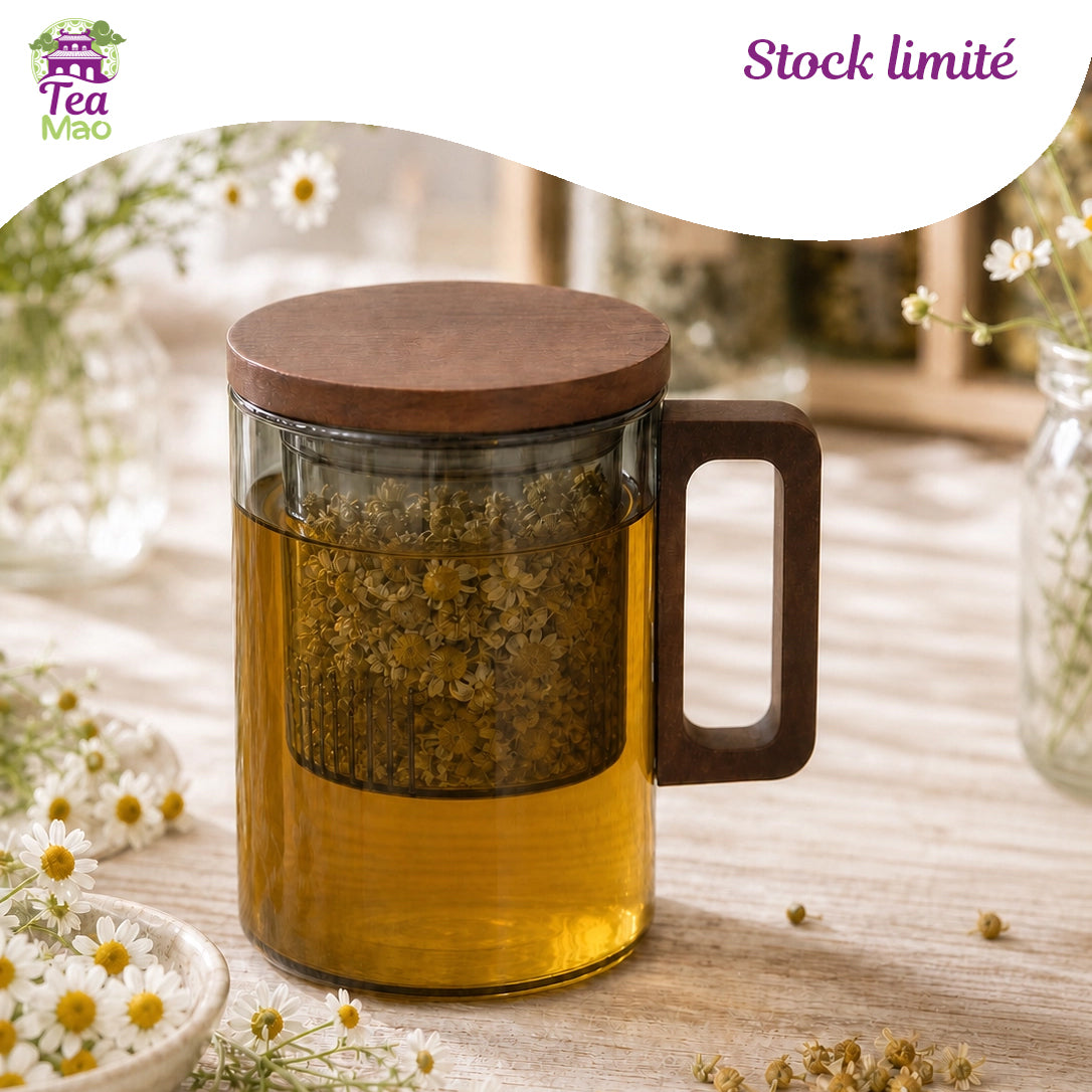 Mug infuseur fumé 400ml en verre teinté avec infuseur intégré – accessoire infusion élégant, TEA MAO